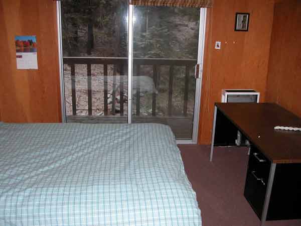 squirrels room