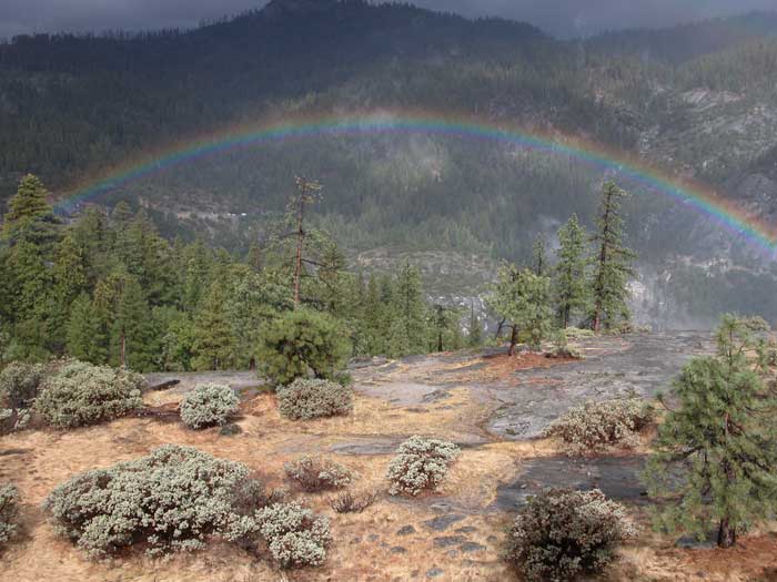 arcobaleno del rostrum